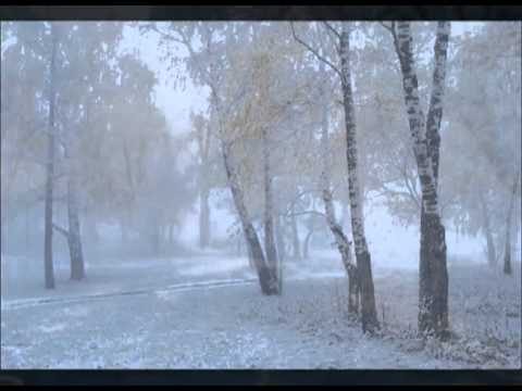 Видео стих - М. Кузьмин Снега покрыли гладкие равнины. .