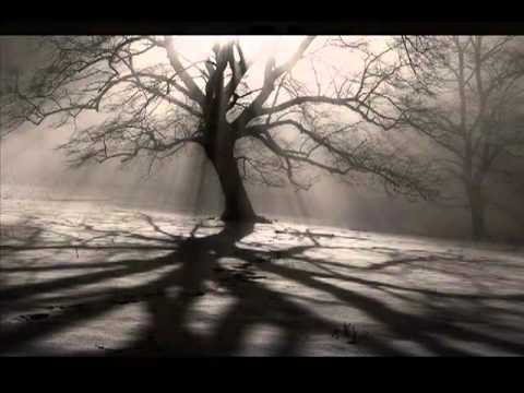 Видео стих - Поль Верлен Деревьев тень в реке упала в мрак туманный. .