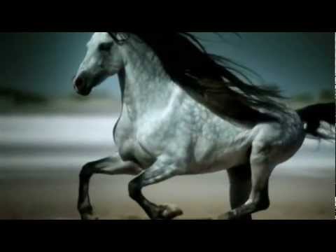 Александр Малинин. Белый конь.