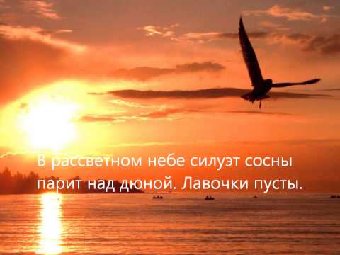 "Сижу у моря, на душе легко" стихи Юрия Соловьева