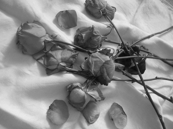 Сергей Есенин Я положил к твоей постели Полузавядшие цветы, И с лепестками помертвели Мои усталые мечты. (из любимого)